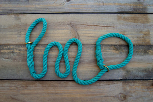 RTS: 1/2IN 4.5FT Teal Rope Slip Dog Leash