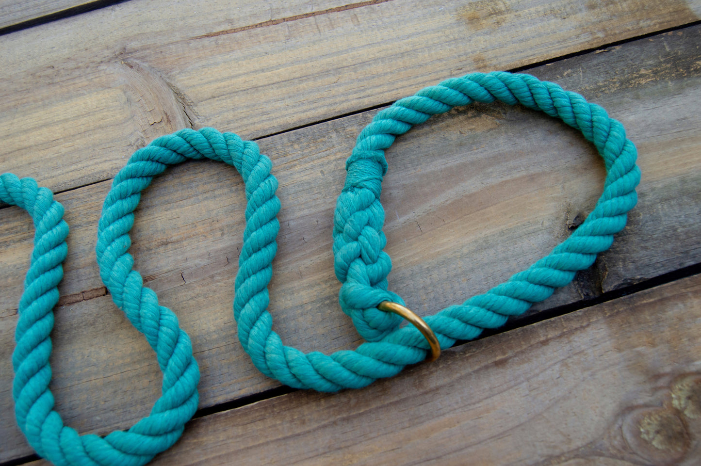RTS: 1/2IN 4.5FT Teal Rope Slip Dog Leash