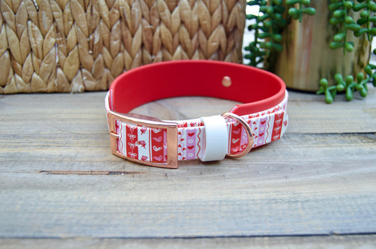 Biothane Dog collar with heart pattern on a wooden surface