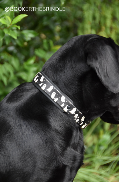 Black dog wearing a ghost collar with a green leafy background