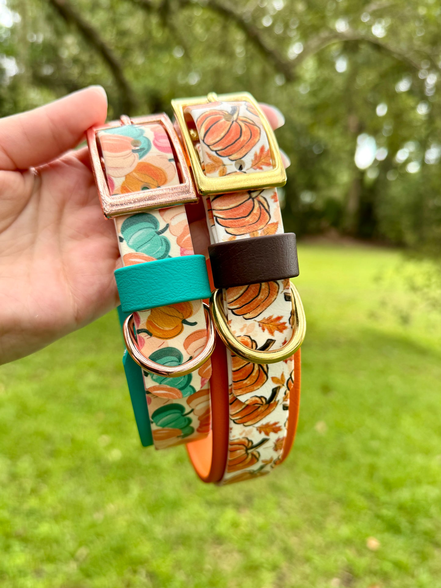 Set of colorful dog collars with pumpkin pattern held by a hand outdoors.