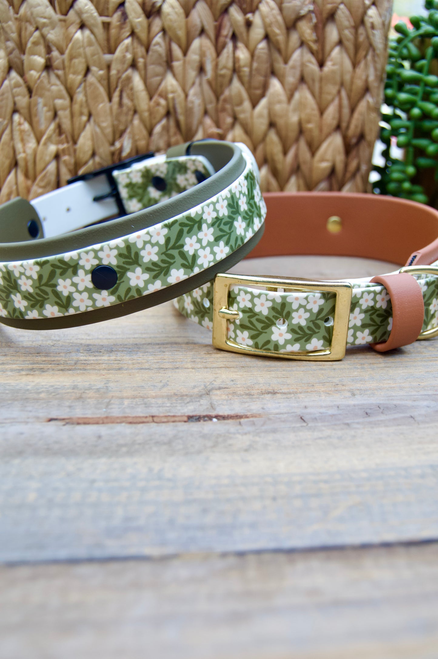 Two dog collars with floral patterns on a wooden surface.
