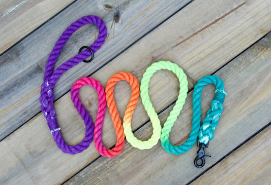 PRISM: Rope Dog Leash