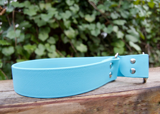 XL Slip Collar Biothane Dog Collar