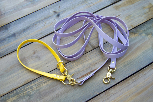 Biothane Recall Long Line Dog Leash