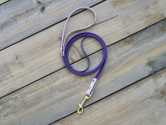 Two Color Biothane Dog Leash
