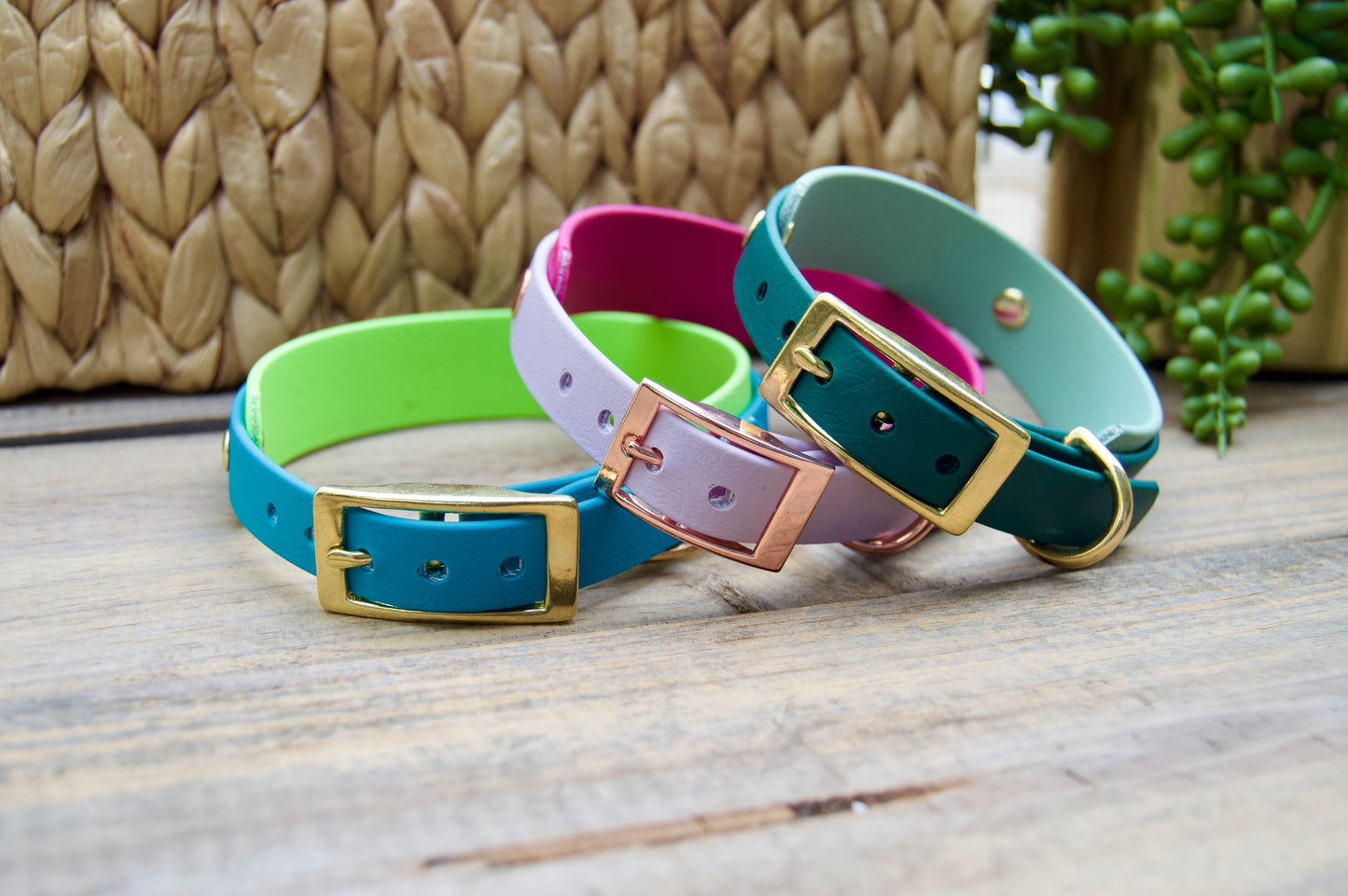 Bundle of Mini Double Layer Biothane Dog Collar and Leash