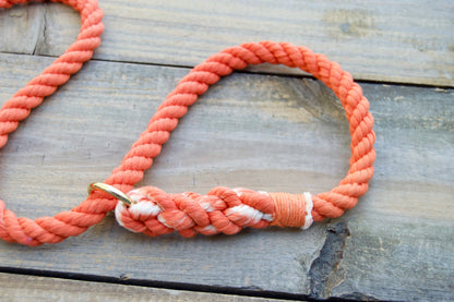 Rope Slip Dog Leash