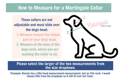 Two Color Tapered Martingale Biothane Dog Collar