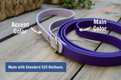 Two Color Biothane Dog Leash