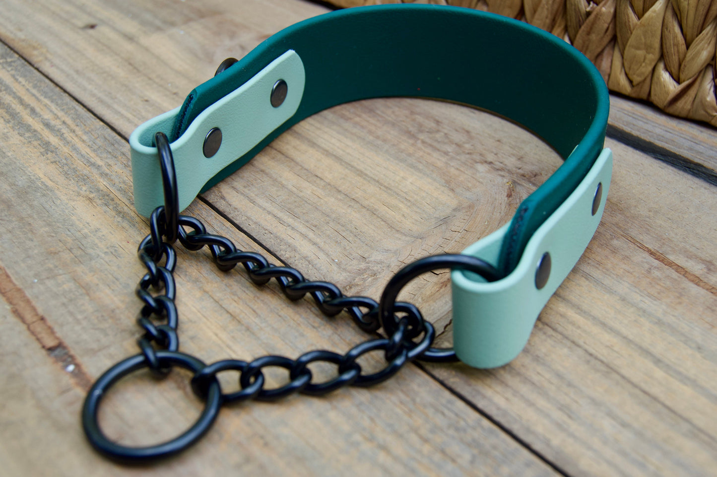 Two Color Tapered Martingale Biothane Dog Collar