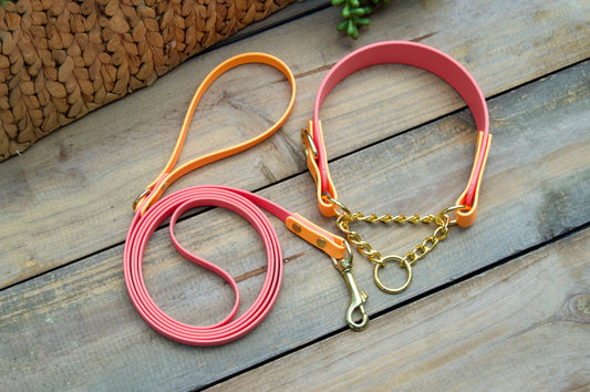 Bundle of Two Color Tapered Martingale Biothane Dog Collar and Leash