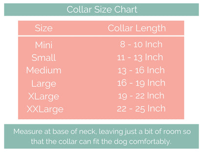Two Color Martingale Adjustable Biothane Dog Collar