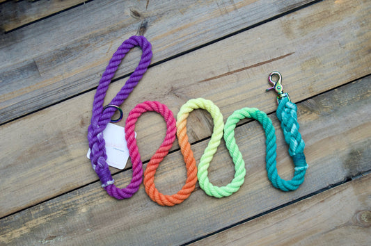 RTS: 1/2IN 5FT Prism Rope Dog Leash
