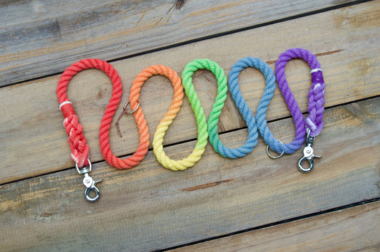 RTS: 3/8IN 6FT Rainbow Handsfree Rope Dog Leash