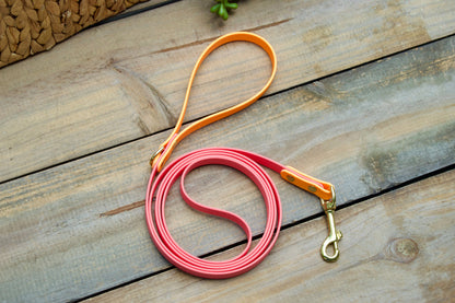 Two Color Biothane Dog Leash