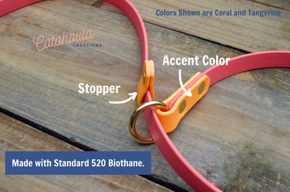 Two Color Slip Leash Biothane Dog Leash