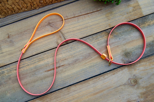 Two Color Slip Leash Biothane Dog Leash