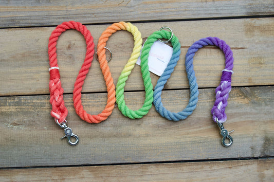 RTS: 1/2IN 6FT Rainbow Handsfree Rope Dog Leash