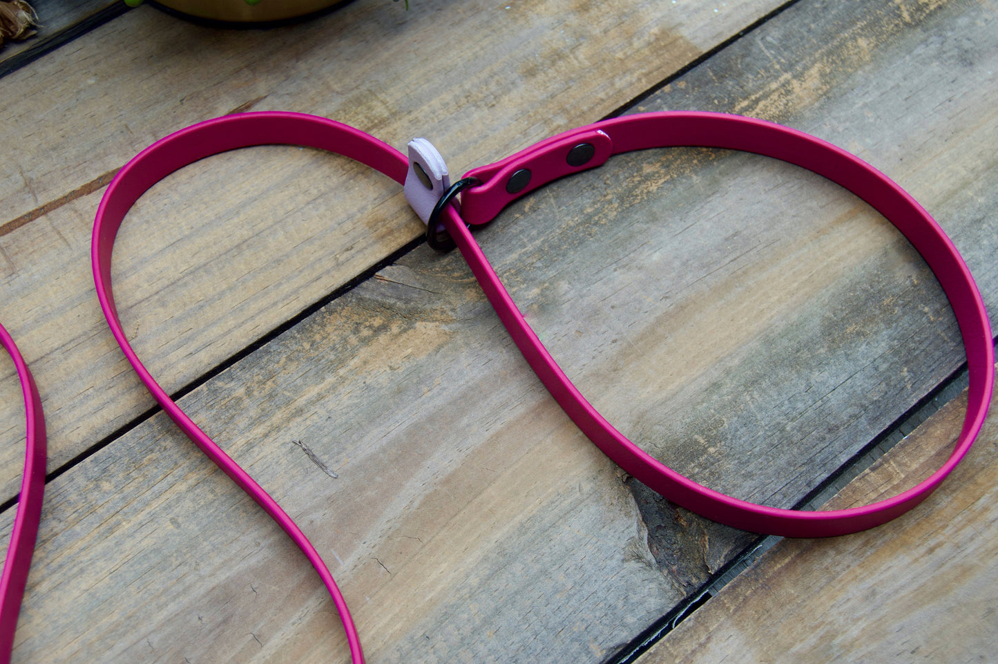 Slip Leash Biothane Dog Leash