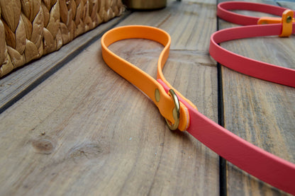 Two Color Slip Leash Biothane Dog Leash