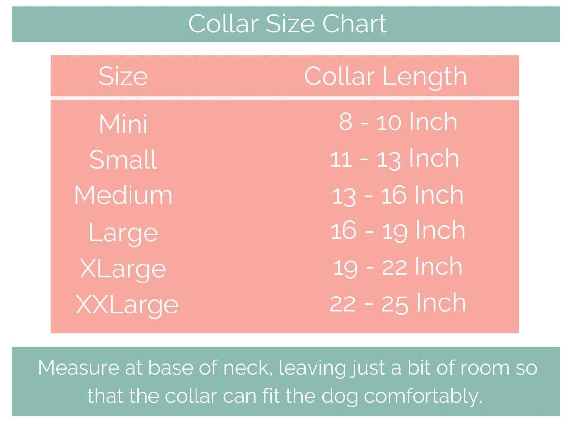 Bundle of Mini Double Layer Biothane Dog Collar and Leash