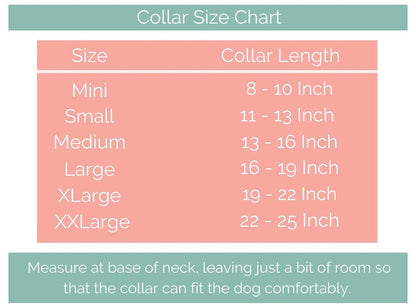 Bundle of Mini Double Layer Biothane Dog Collar and Leash