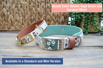mini and standard size biothane dog collars with text describing availability