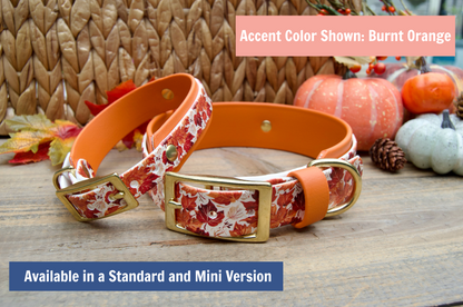 Two dog collars with fall leaves pattern and gold buckles on a wooden surface with pumpkins and leaves decoration 
