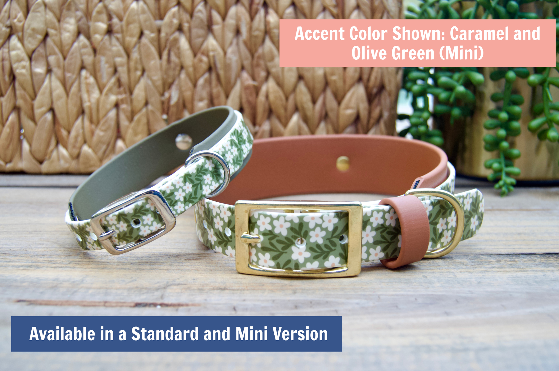 Two dog collars with floral pattern on a wooden surface, with text about color options and size availability.
