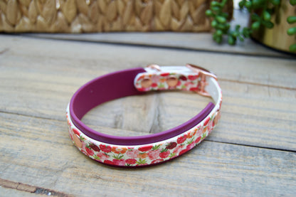 raspberries patterned dog collar with burgundy accent on a wooden surface
