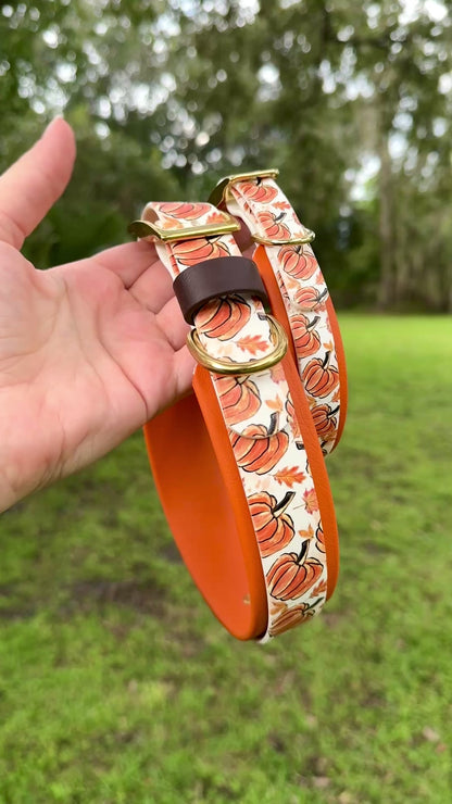 Pumpkins: Mini Printed Double Layer Biothane Dog Collar