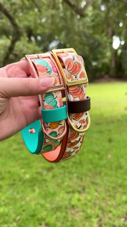 Colorful Pumpkins: Printed Double Layer Biothane Dog Collar