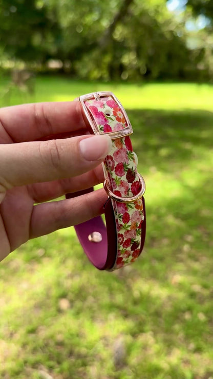 Raspberries: Mini Printed Double Layer Biothane Dog Collar