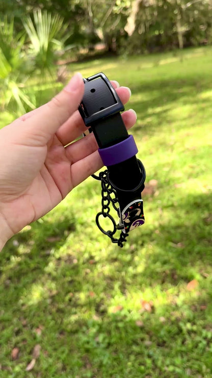 SCRAP SALE: Accent Biothane Chain Martingale