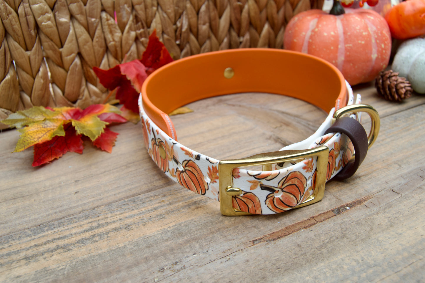 Dog collar with pumpkins  pattern on a wooden surface with pumpkins and leaves decoration