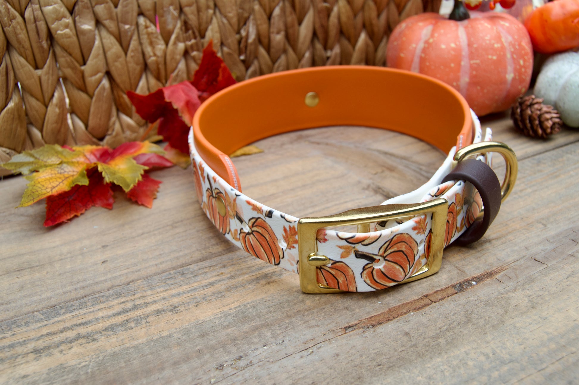 Dog collar with pumpkins  pattern on a wooden surface with pumpkins and leaves decoration