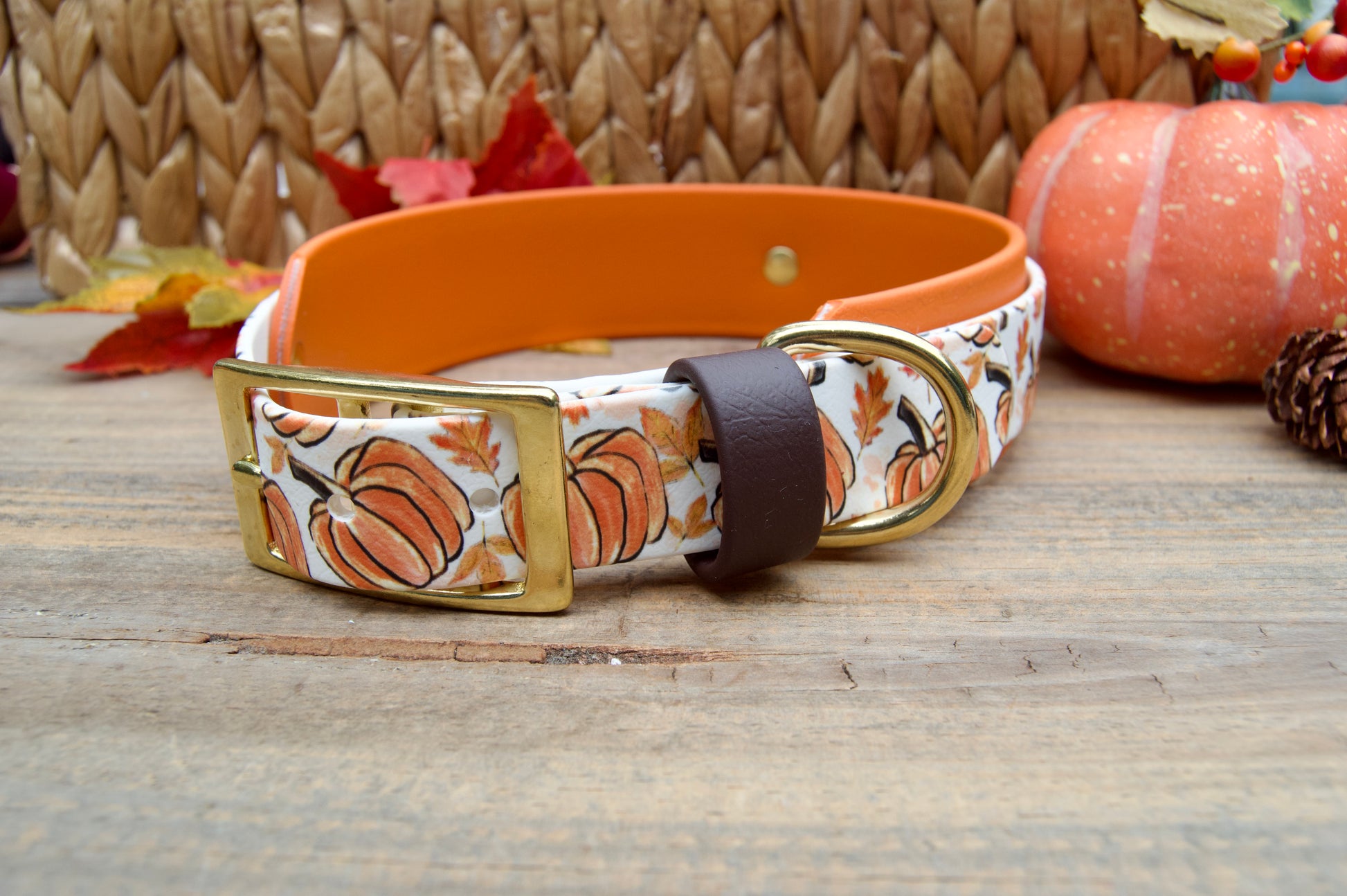 Dog collar with pumpkin pattern on a wooden surface with autumn decorations.