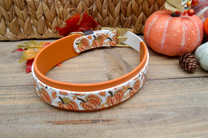 Dog collar with pumpkin design on a wooden surface with pumpkins and leaves.