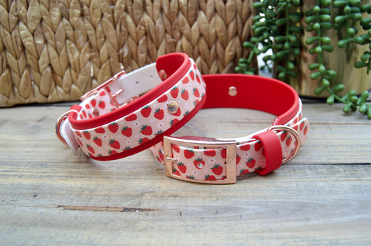 Strawberry: Printed Double Layer Biothane Dog Collar